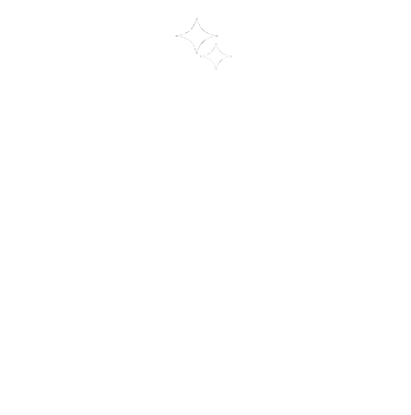 双星旅団
